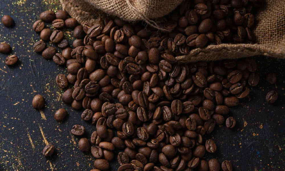 Der teuerste Kaffee der Welt – Das Geheimnis hinter dem Black Ivory Kaffee.