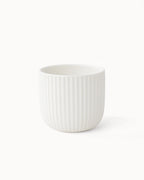 Kaffeebecher Senita 4er Set 250 ml