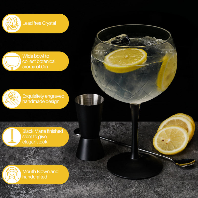 Miamio Gin Gläser Crystaluna 2er Set Glas, mit Messbecher, Rührlöffel und schwarzem Fuß